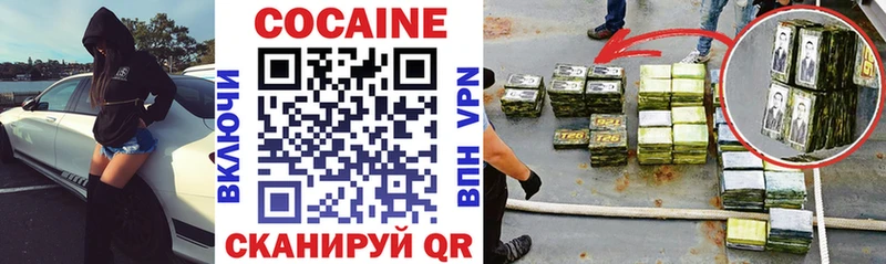 Кокаин Fish Scale  Купить закладки  Алексин 