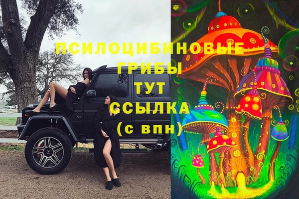 не бодяженный Краснослободск