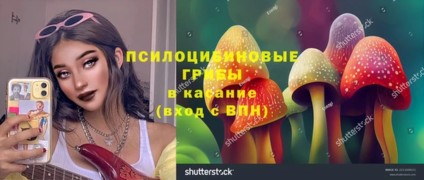 бошки Краснотурьинск