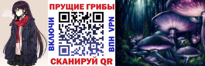 Купить закладки  Алексин  Галлюциногенные грибы Magic Shrooms 