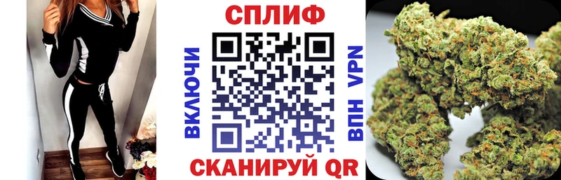 Шишки марихуана Amnesia  Купить закладки  Алексин 